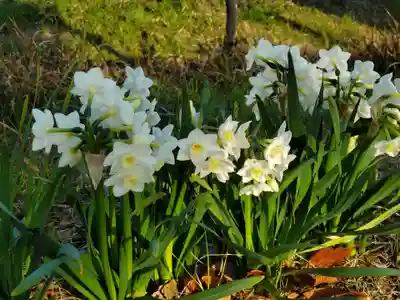 住吉神社の自然