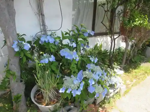 大乗寺(静岡県)