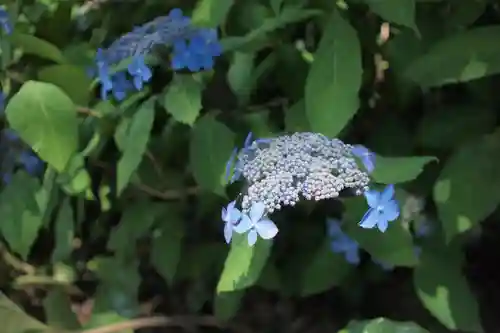 世良田東照宮の自然