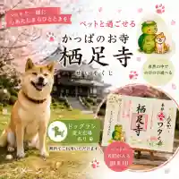 かっぱの寺 栖足寺