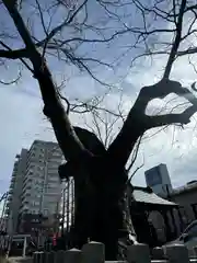 阿邪訶根神社(福島県)