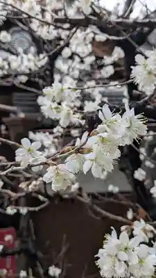 成道院(京都府)