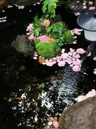 神明氷川神社(東京都)