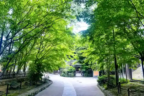 宇治上神社(京都府)