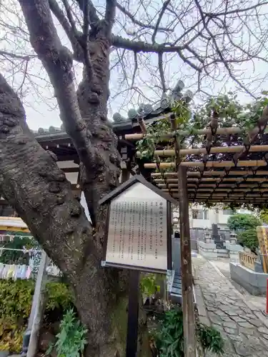 感通寺(東京都)