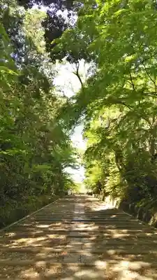 光明寺（粟生光明寺）のその他建物