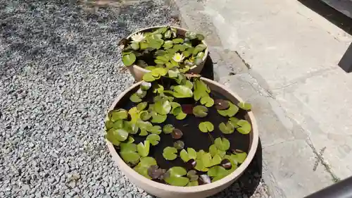 斎田寺(徳島県)