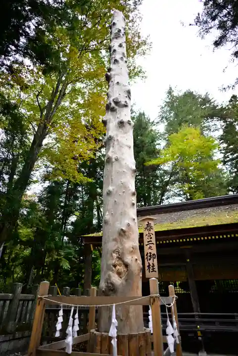 諏訪大社下社春宮(長野県)