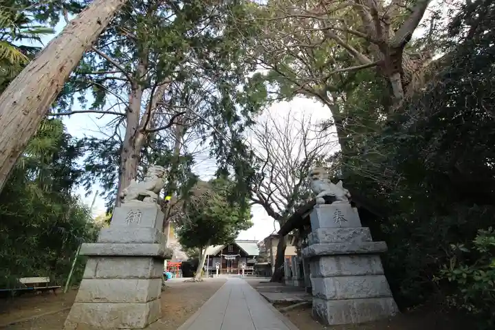 日吉神社の狛犬