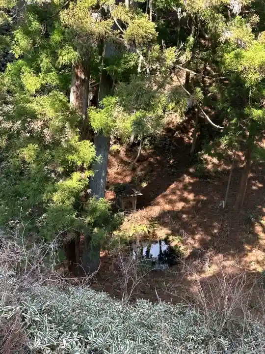 清澄寺の{uncategorized: "未分類", other: "その他", undefined: "問題あり", building: "その他建物", grave: "お墓", sacred_gate: "鳥居", guardian: "狛犬", statue: "像", buddha: "仏像", history: "歴史", nature: "自然", garden: "庭園", animal: "動物", pagoda: "塔", temizu: "手水舎", mountain_gate: "山門・神門", sanctuary: "本殿・本堂", subordinate: "末社・摂社", art: "芸術", scenery: "景色", jizo: "地蔵", ema: "絵馬", goshuin: "御朱印", omikuji: "おみくじ", items: "授与品その他", amulet: "お守り", goshuincho: "御朱印帳", eats: "食事", festival: "お祭り", votive_dance: "神楽", shichigosan: "七五三参", wedding: "結婚式", experience: "体験その他", initially: "初詣", around: "周辺", anti_infection: "感染症対策"}