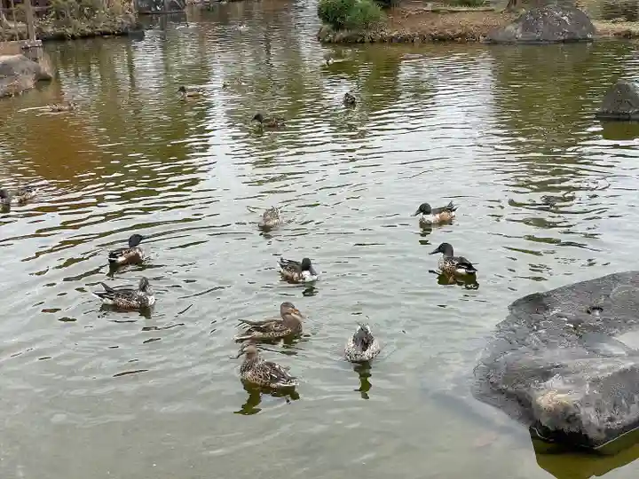 東本願寺本廟 牛久浄苑(牛久大仏)の動物