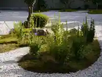 廬山寺(廬山天台講寺)の庭園