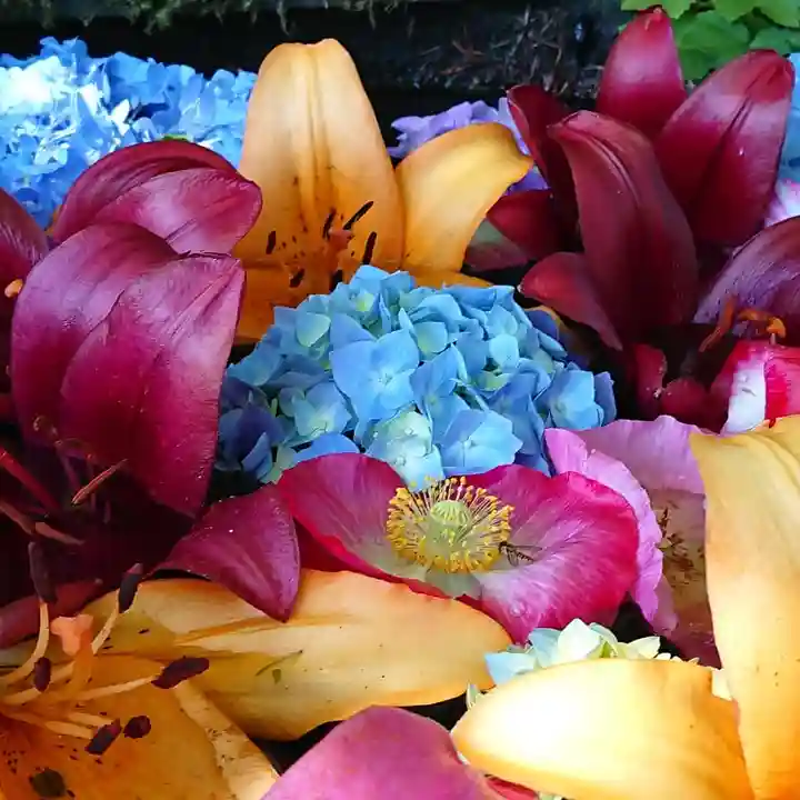 伊豆山神社 里宮の手水舎