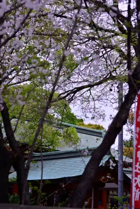 静岡浅間神社のその他建物