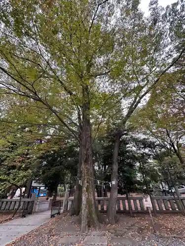 布多天神社(東京都)
