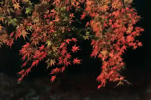 田村神社の景色