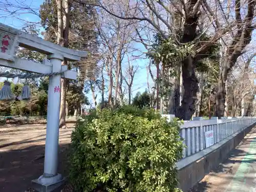 下溝八幡宮(神奈川県)
