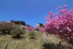 宝登山神社奥宮(埼玉県)