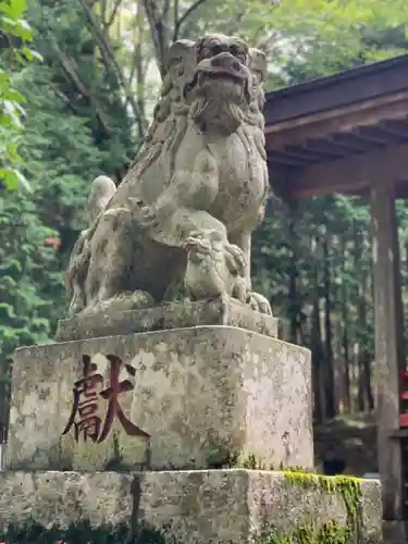 淺間神社（忍野村内野）の狛犬