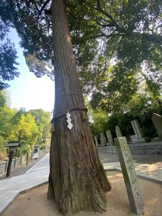 石鎚神社 口之宮 本社(愛媛県)