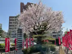 宗保院(東京都)