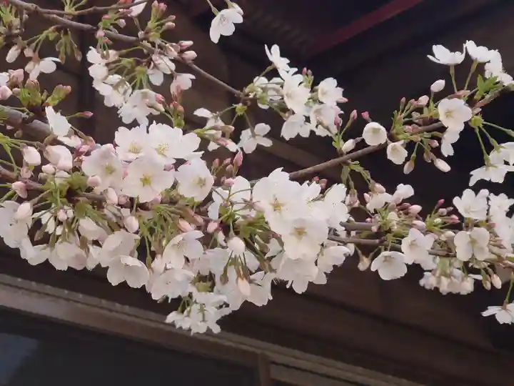 倉見観音堂(神奈川県)