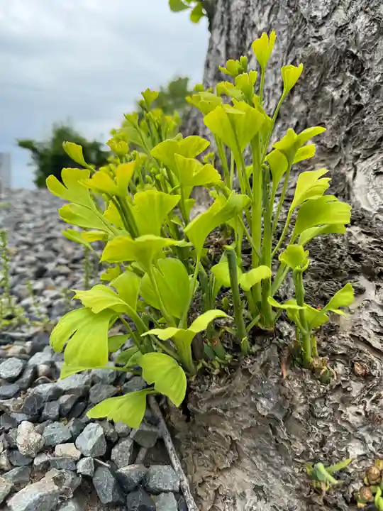 熊野福藏神社(福島県)