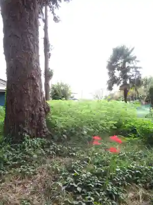 酒門神社(茨城県)