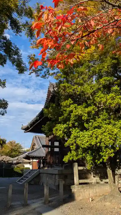 豊国神社(京都府)