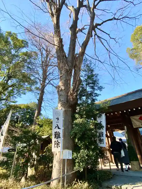 阿佐ヶ谷神明宮のその他建物