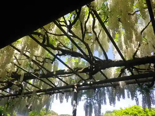 英勝寺のその他建物