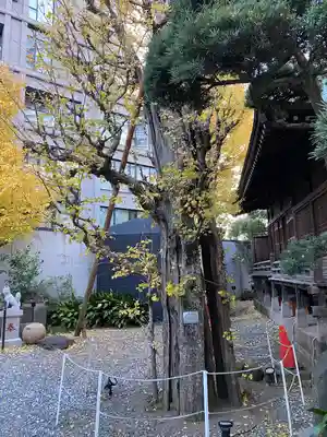 廣尾稲荷神社(東京都)