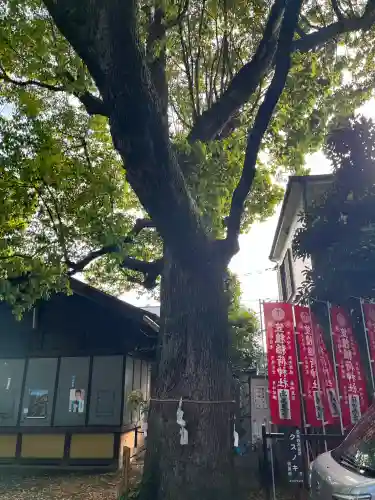 笠䅣稲荷神社の{uncategorized: "未分類", other: "その他", undefined: "問題あり", building: "その他建物", grave: "お墓", sacred_gate: "鳥居", guardian: "狛犬", statue: "像", buddha: "仏像", history: "歴史", nature: "自然", garden: "庭園", animal: "動物", pagoda: "塔", temizu: "手水舎", mountain_gate: "山門・神門", sanctuary: "本殿・本堂", subordinate: "末社・摂社", art: "芸術", scenery: "景色", jizo: "地蔵", ema: "絵馬", goshuin: "御朱印", omikuji: "おみくじ", items: "授与品その他", amulet: "お守り", goshuincho: "御朱印帳", eats: "食事", festival: "お祭り", votive_dance: "神楽", shichigosan: "七五三参", wedding: "結婚式", experience: "体験その他", initially: "初詣", around: "周辺", anti_infection: "感染症対策"}
