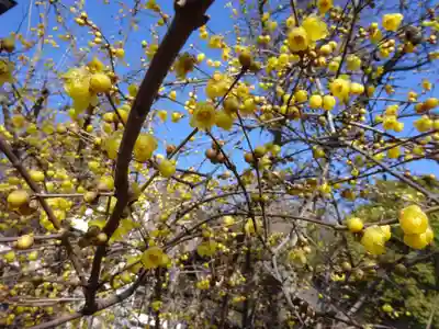 横浜　西方寺(神奈川県)