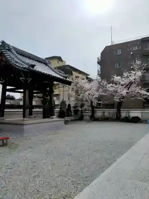 高野寺(和歌山県)