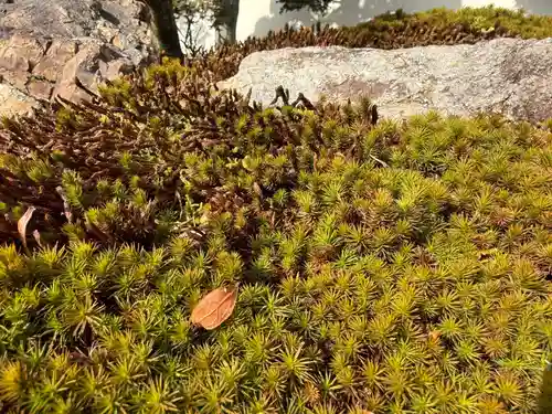 西方山極楽寺(岐阜県)