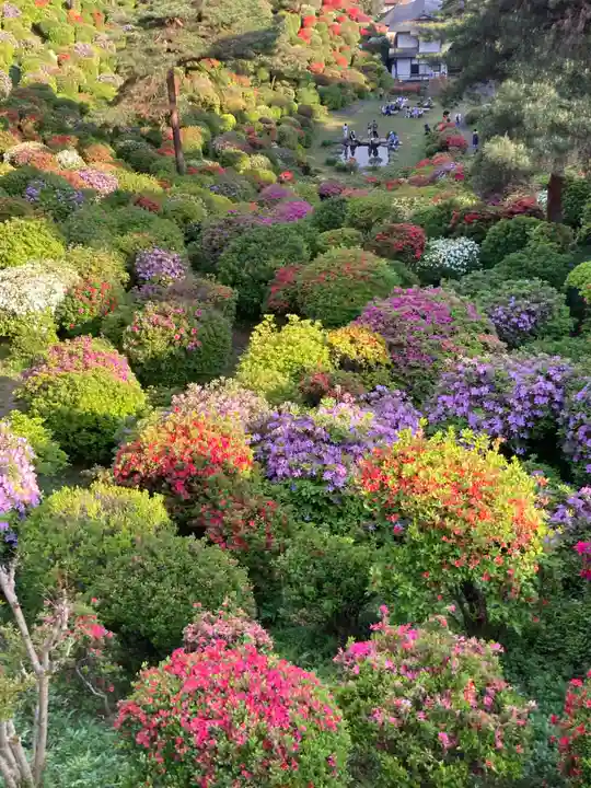 塩船観音寺(東京都)