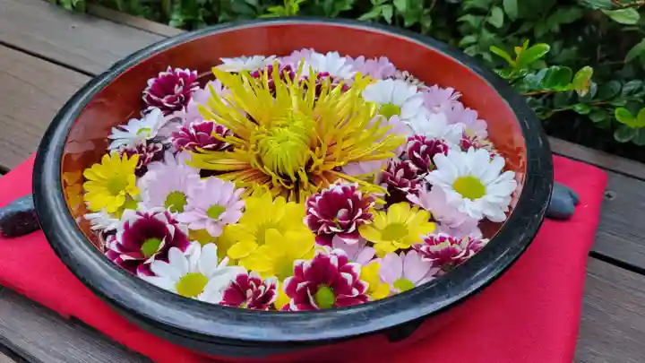 増上寺塔頭 三縁山 宝珠院の手水舎