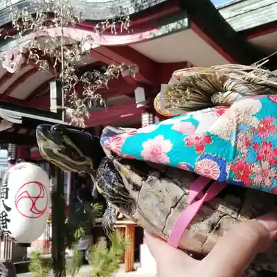 市谷亀岡八幡宮の初詣
