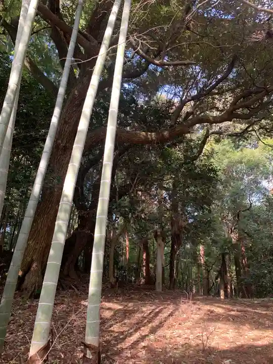 鷲神社の周辺