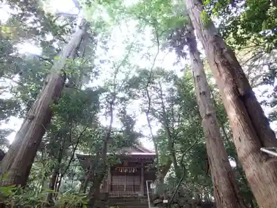 大野見宿禰命神社の本殿・本堂