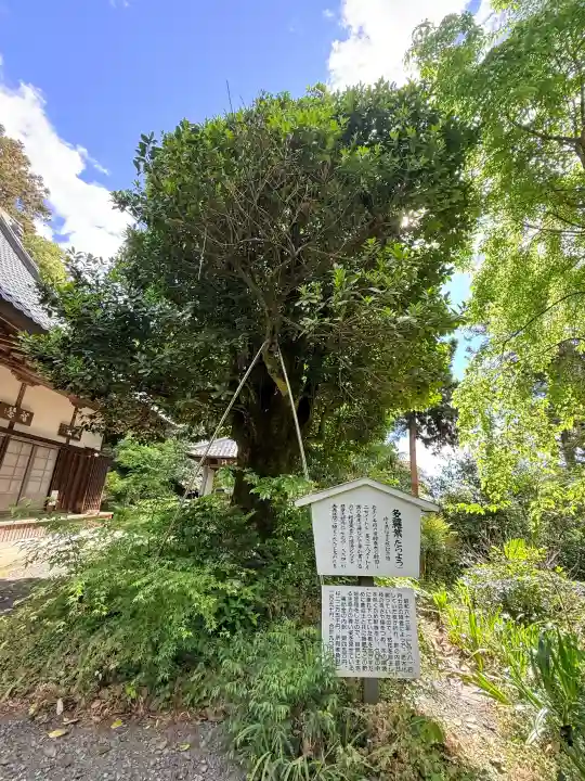 慈光寺の{uncategorized: "未分類", other: "その他", undefined: "問題あり", building: "その他建物", grave: "お墓", sacred_gate: "鳥居", guardian: "狛犬", statue: "像", buddha: "仏像", history: "歴史", nature: "自然", garden: "庭園", animal: "動物", pagoda: "塔", temizu: "手水舎", mountain_gate: "山門・神門", sanctuary: "本殿・本堂", subordinate: "末社・摂社", art: "芸術", scenery: "景色", jizo: "地蔵", ema: "絵馬", goshuin: "御朱印", omikuji: "おみくじ", items: "授与品その他", amulet: "お守り", goshuincho: "御朱印帳", eats: "食事", festival: "お祭り", votive_dance: "神楽", shichigosan: "七五三参", wedding: "結婚式", experience: "体験その他", initially: "初詣", around: "周辺", anti_infection: "感染症対策"}