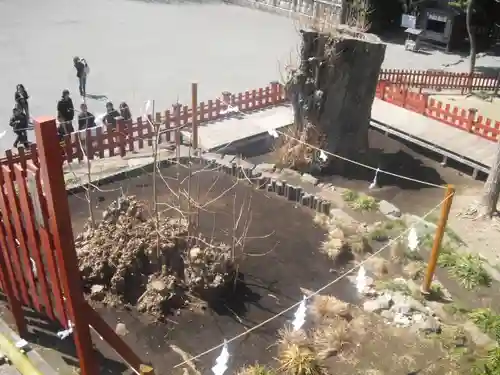 鶴岡八幡宮のその他建物