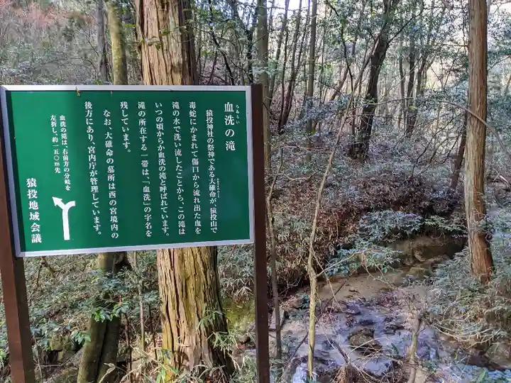 猿投神社 西の宮の自然