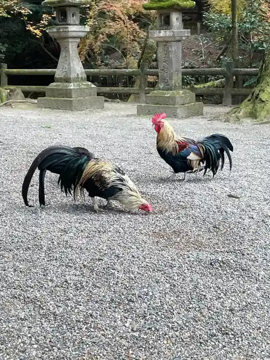 石上神宮(奈良県)