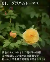 宝光寺(北海道)