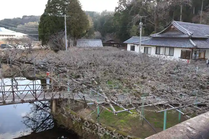 西寒多神社(大分県)