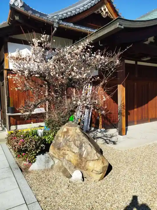本信寺(大阪府)
