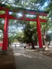 花園神社(東京都)