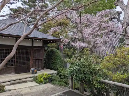 東長谷寺　薬王院(東京都)